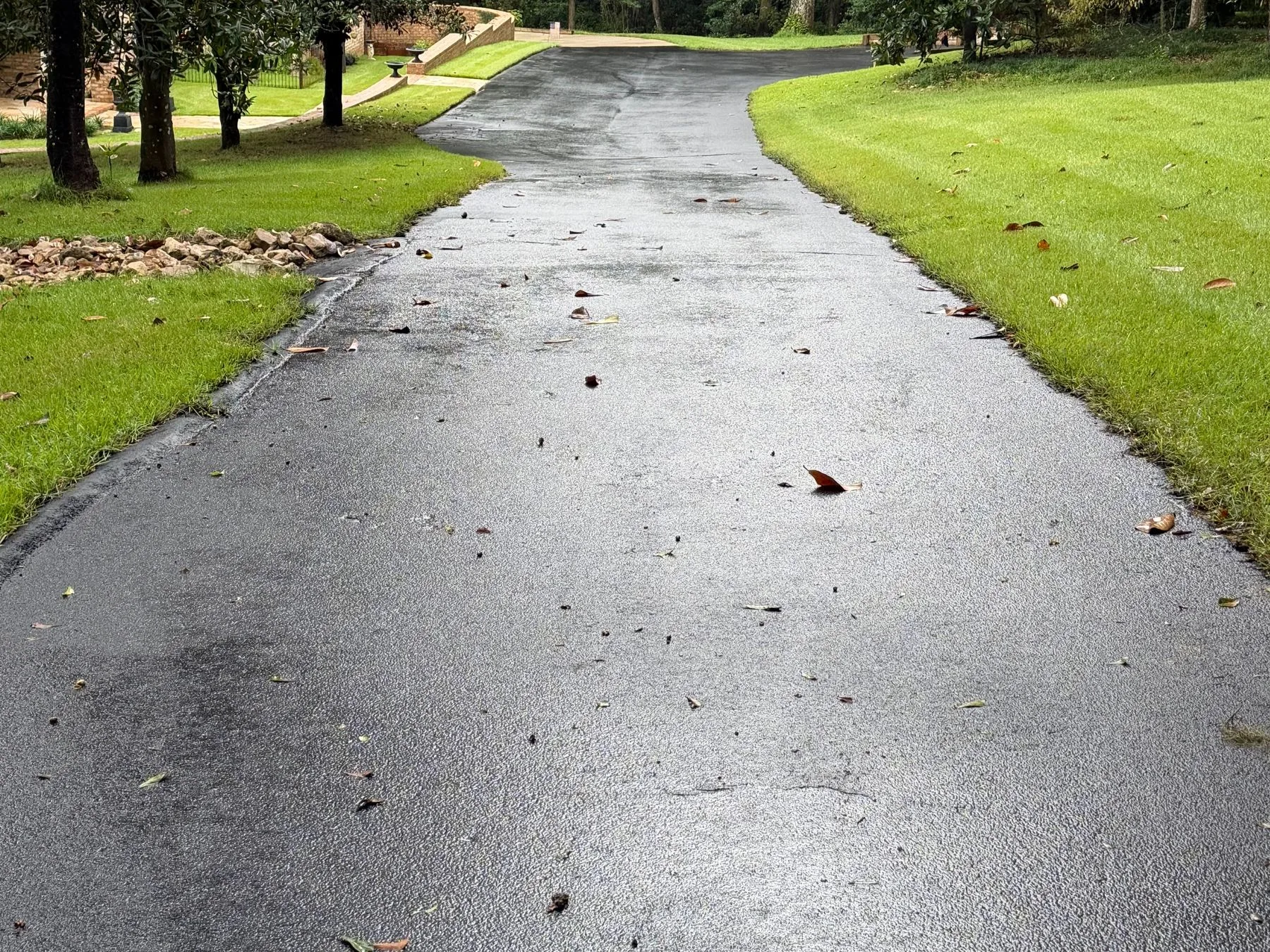 Close view of a resealed asphalt driveway surface after a rain, with an even black finish