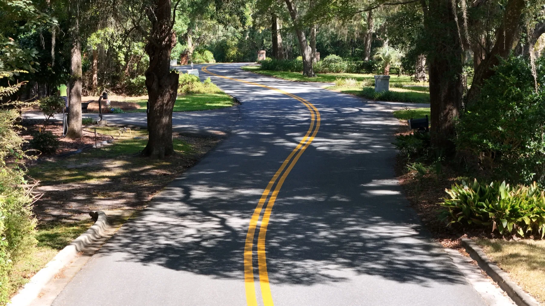 Highgrove Subdivision on Thomasville Road in Tallahassee, FL